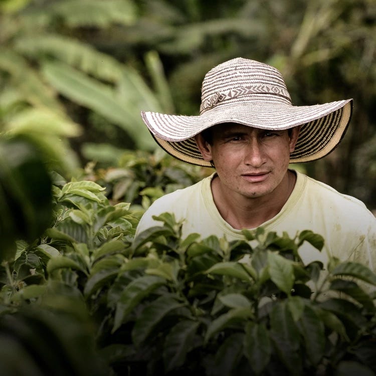 Sustainable coffee